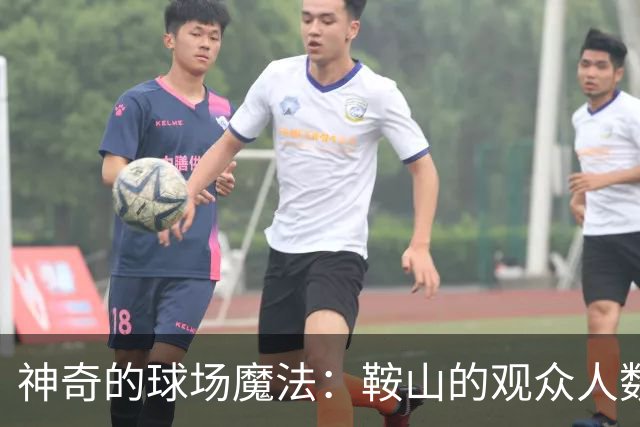 神奇的球场魔法：鞍山的观众人数创下新高